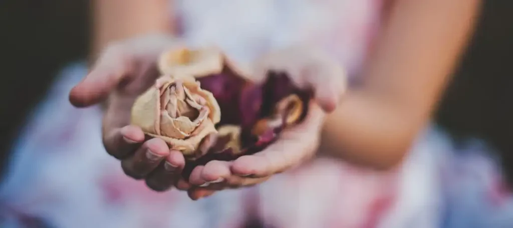 Hands holding beautiful dried flowers